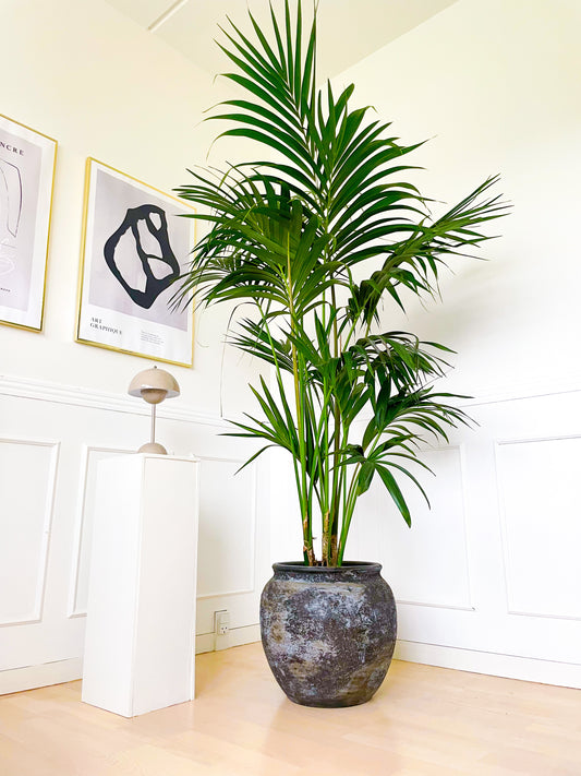 Mørkegrå krukke Ø30 H35