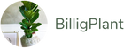 BilligPlant